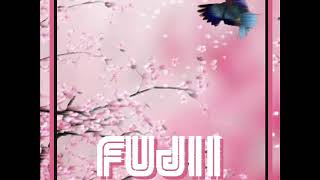 FUJII - Breaking