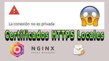 Guía para crear Certificados HTTPS Locales con Nginx Proxy Manager