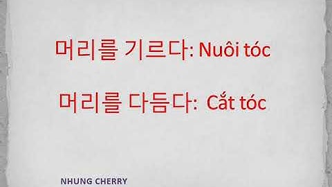 Tiếng hàn chủ đề TIỆM HỚT TÓC   미용실