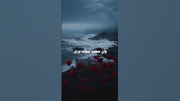 تلاوة هادئة تريح الأعصاب 💛 #القرآن_الكريم #اكسبلور #المصحف #حالات_واتس #الرحمن #تلاوة_خاشعة