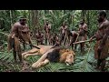 Indian Lion Vs Korowai Tribe Living Completely Off The Land Documentary Indian Lion Vs Korowai Tribe Living Completely Off The Land Documentary