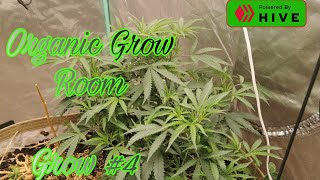 Organic Grow Room - Grow 4 - Episode 3 - No Till Indoor