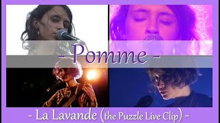 Pomme - La Lavande : The Puzzle Live Clip