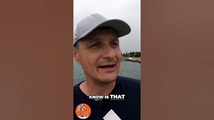 The Crash of 2026: Is the Next Financial Crisis Imminent?