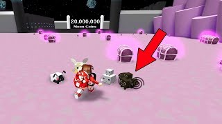 Roblox Club Pet Simulator Cute766 - n.n.b club roblox the series