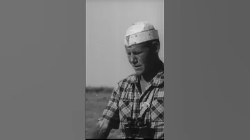 Куланы заповедника Барсакельмес, 1963 г. #shorts #заповедник #море #казахстан #кулан #озеро