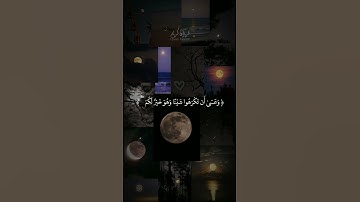 ﴿ كُتِبَ عَلَيْكُمُ الْقِتَالُ وَهُوَ كُرْهٌ لَّكُمْ ۖ ﴾ تلاوة تريح القلب بصوت الشيخ ياسر الدوسري ♥