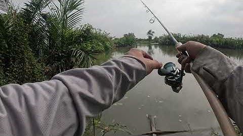 quá có lý............