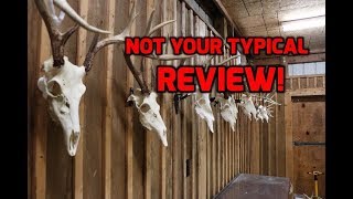 SKULL MOUNT REVIEW (Not Your Typical Skull Hanger Review!)