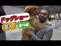 パンク町田ドッグショー潜入番外編