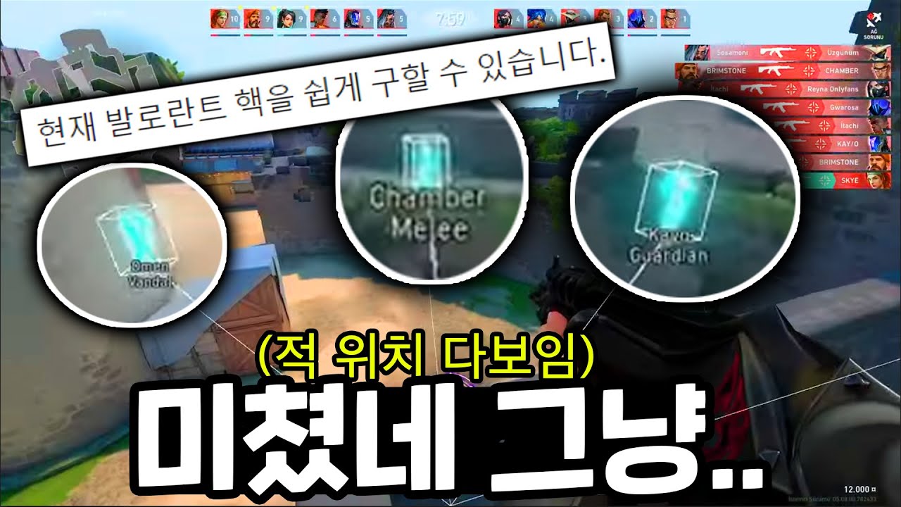 발로란트 하면서 핵 유저 만난 적 있나요? ㅣ 발로란트마닥개