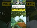【東野幸治】自分の国を守るために武器を持たなきゃいけない #shorts