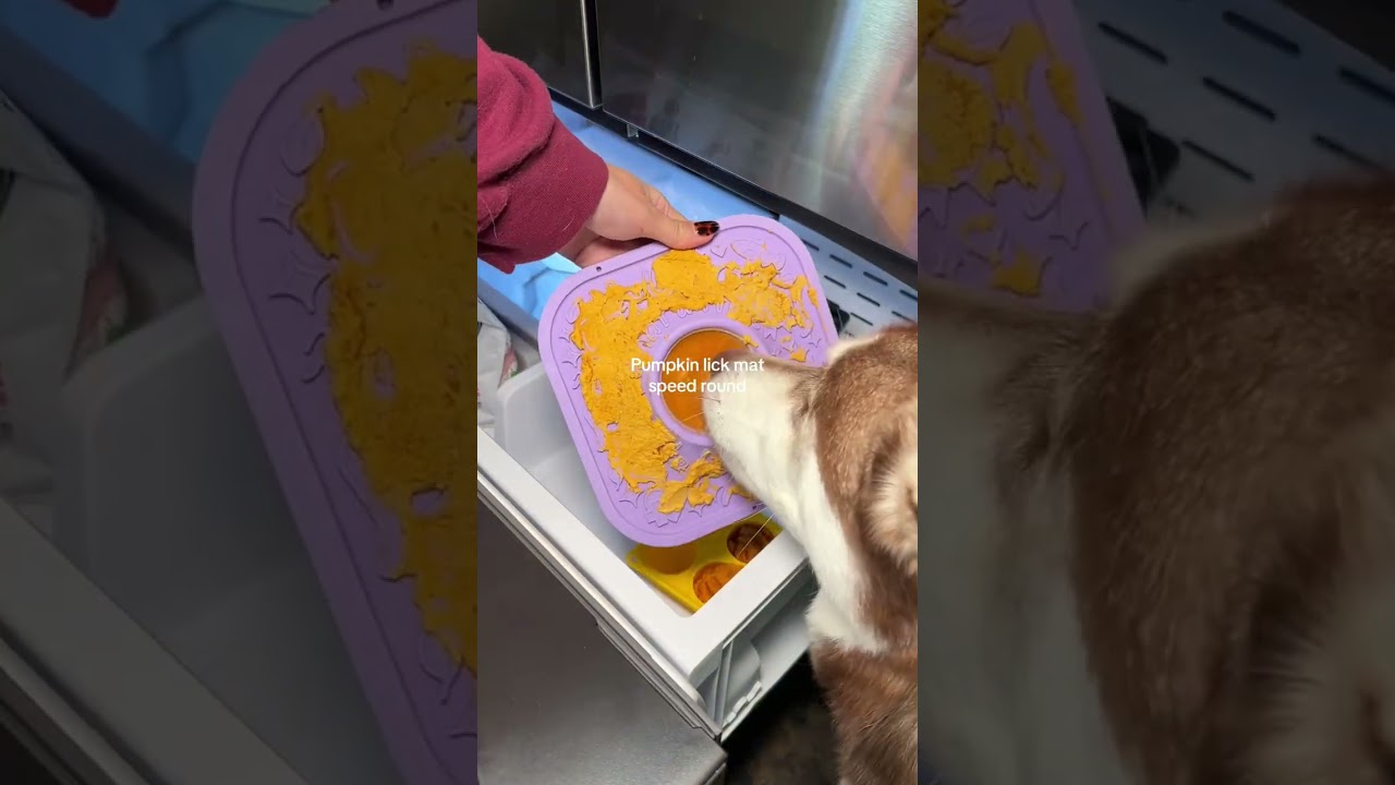 Today’s lick mat recipe: pumpkin peanut butter Pet 