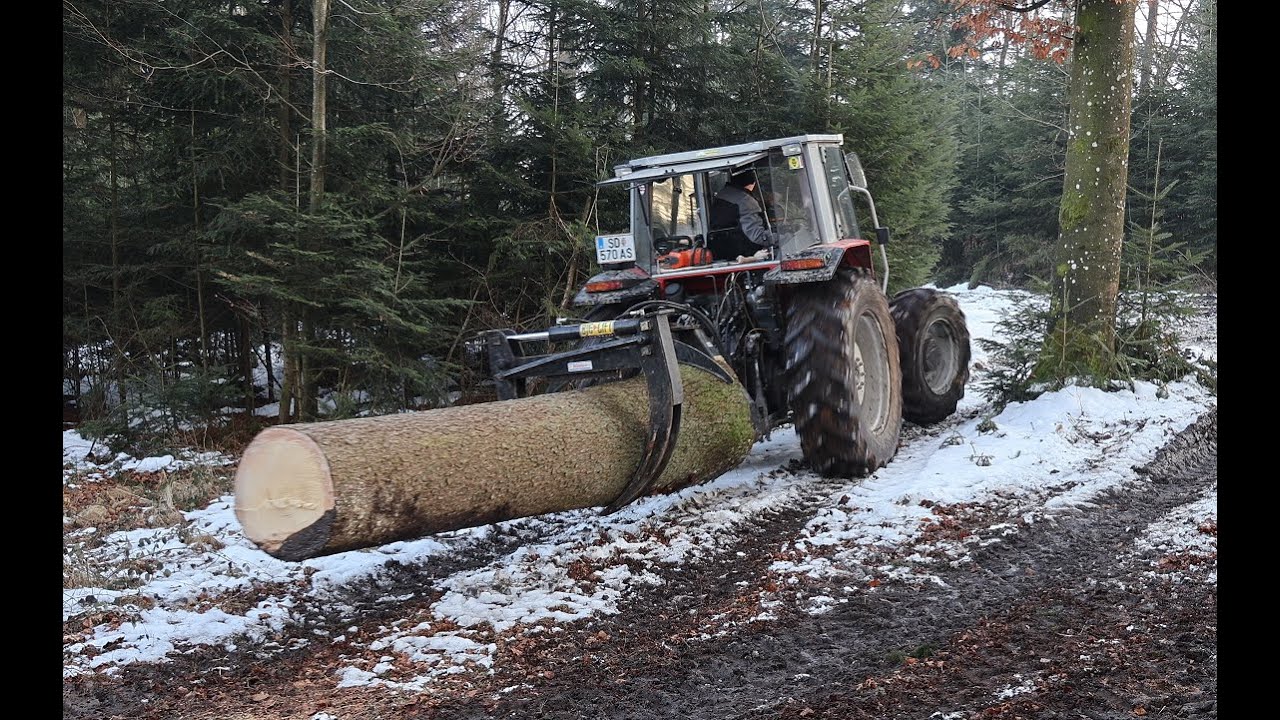 Plenterwälder im Allgäu: Nachhaltige Waldbewirtschaftung aus Tradition | Forst | Unser Land | BR