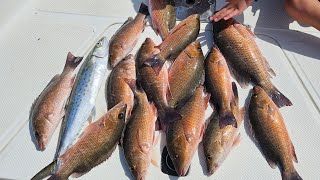 fishing in gandy bridge by Machete Fishing 1,819 views 10 months ago 17 minutes