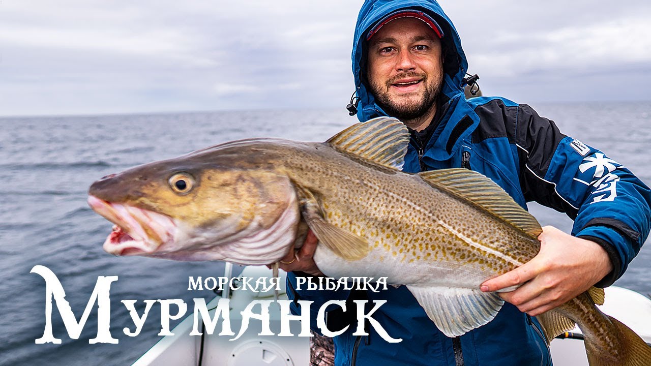 РЫБАЛКА В БАРЕНЦЕВОМ МОРЕ Ч.2 | ПОЛУОСТРОВ РЫБАЧИЙ - YouTube