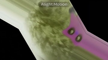 VideoPad multi render test