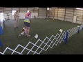 Maze ASCA Beginner Novice