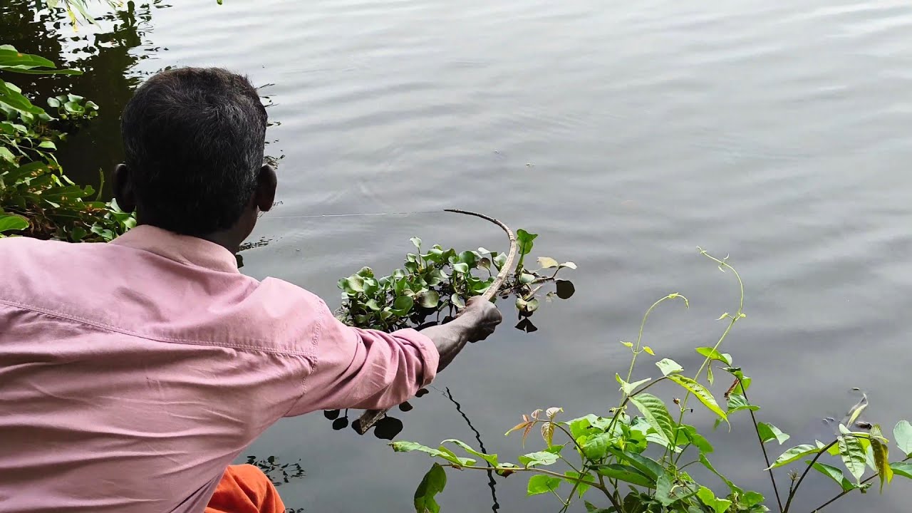 കായലിൽ റെഡ് ബെല്ലി വന്നിട്ടുണ്ട് ചൂണ്ടയെല്ലാം പൊട്ടിക്കുവാ