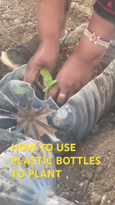 do-you-need-organic-vegetables-easy-way-youtube