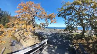 Tree lined path on Saysutshun (Newcastle Island) park