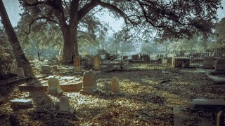 Cemetery Series: The Haunted Mystery of Springfield Cemetery in Louisiana