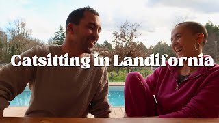 Catsitting Adventures in Les Landes | A WhiskerLoving Vlog from France