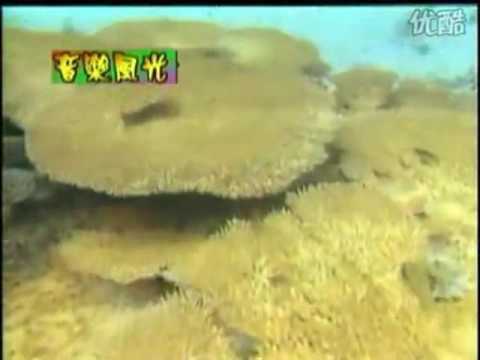儿童歌曲MTV精选《中国少年先锋队队歌》