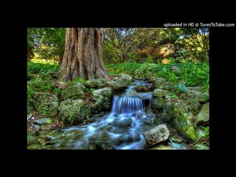 მე შენთან მოვალ - გულიკო ღარიბაშვილი