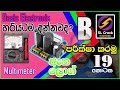 Basic Electronic sinhala ( Part 19) SL CRACK සිංහලෙන්ම Multi meter (B) Component Test