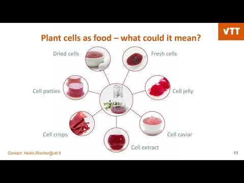 Cell factories for sustainable food production - YouTube