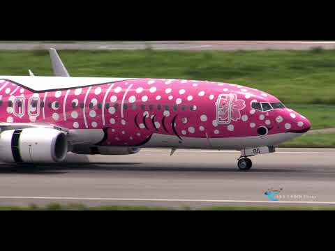 南ぬ島 石垣空港 新さくらジンベエジェット】Japan Transocean