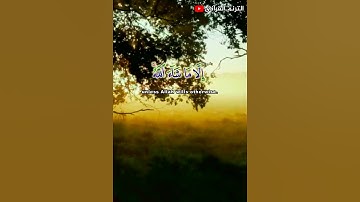 سبح اسم ربك الاعلى | سورة الاعلی (1 إلى آية 9) بصوت القارئ الشيخ عادل صادق