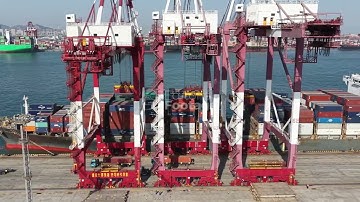 Qingdao Port - 12/01/2025