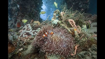 Keldan Filter test in Amlan   HD 1080p