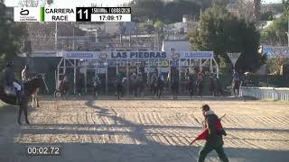 26 HIPODROMO LAS PIEDRAS - EN VIVO