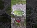 Кемпинг в пригороде Веве Vevey Switzerland #shorts