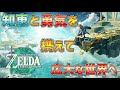 ○LIVE【ゼルダの伝説 ティアキン】再びハイラルの地に降り立つときが来た #1【ZELDA TEARS of the KINGDOM】