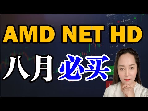 美股 AMD NET HD 八月必买三只股，中长期持股