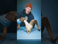 #animals #goat #what#😱😱😱#goathad#success #subscribe 😍🙂🤗😘