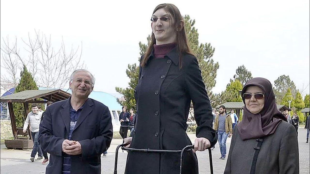 Bolalar, meni sikinglar, siktiringlar. Kozgu oldida mushukning fotosurati