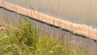 Turismo e Natureza - Aveiro