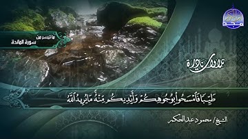 ما تيسر من سورة المائدة 4-13|| الشيخ محمود عبدالحكم || تلاوات نادرة HD