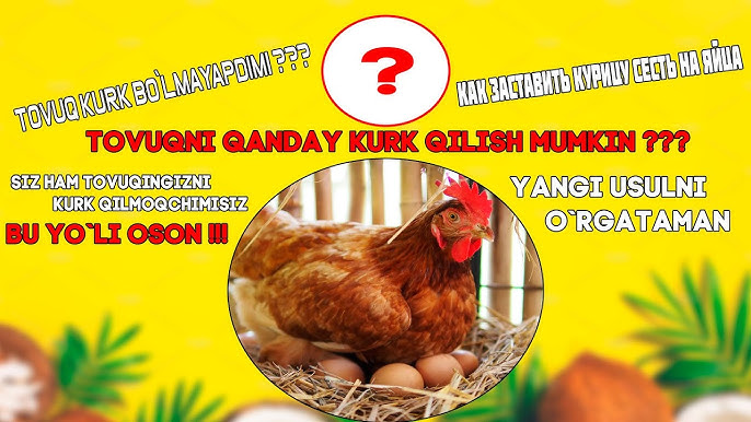 Ayolning mushuk sharbati