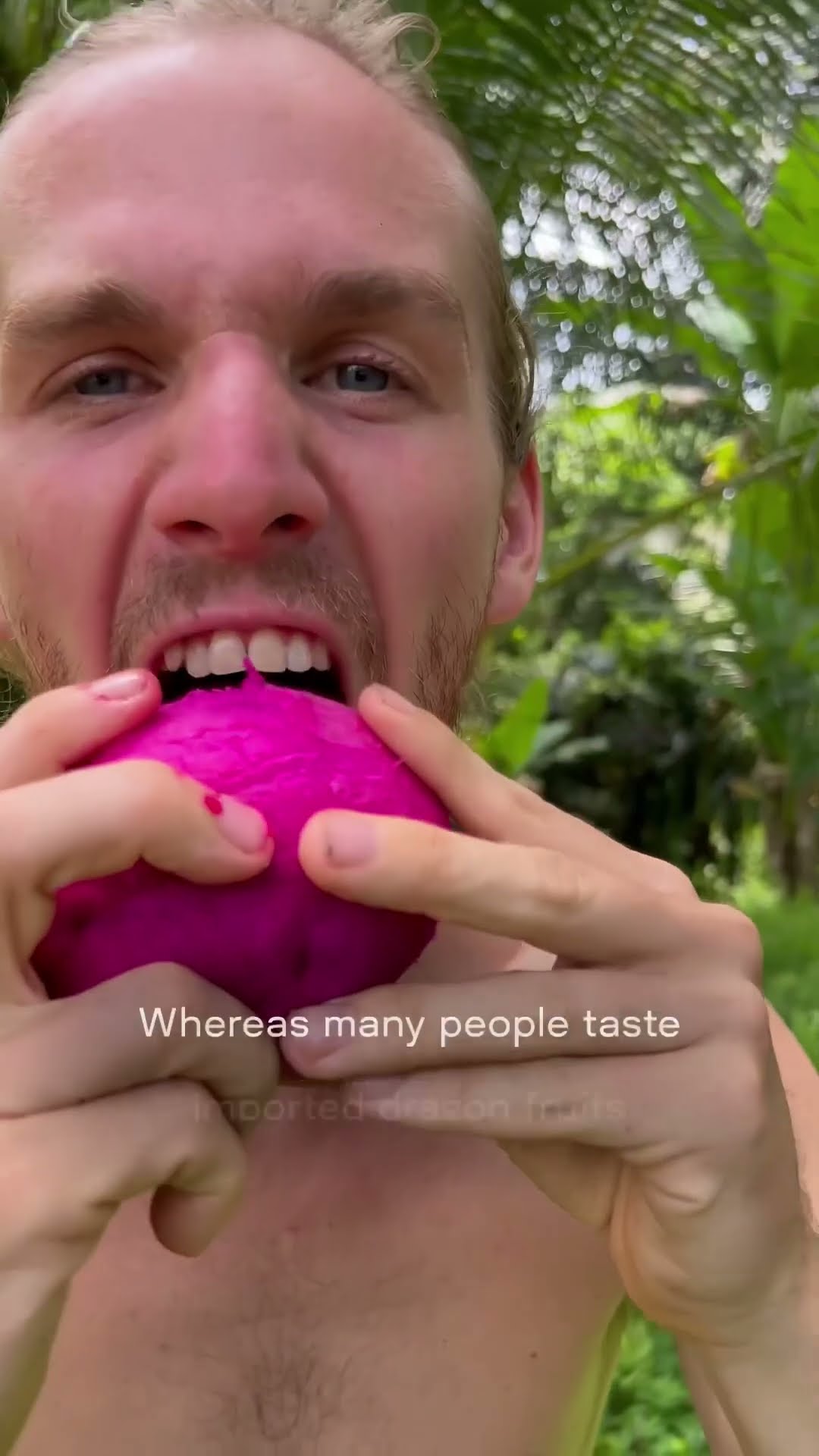 Harvesting Lychee Fruit Goes To Countryside Market Sell, Make Lychee Syrup | Free Bushcraft