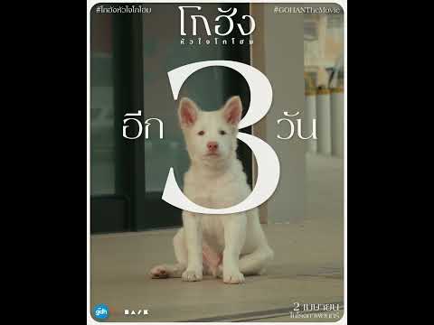 อีก 3 วัน ด.ช.โกฮัง รอ..ทุกคนอยู่ที่โรงภาพยนตร์นะงับ | โกฮัง..หัวใจโกโฮม