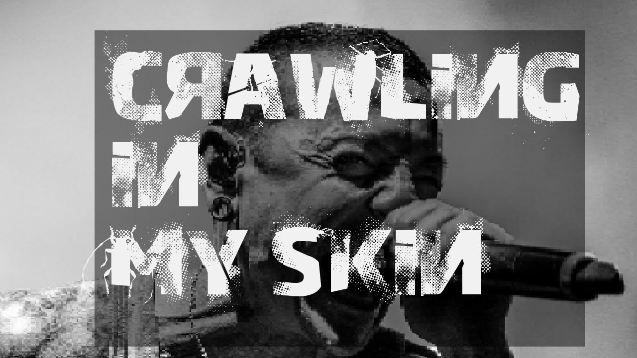 In My Skin In My Skin
