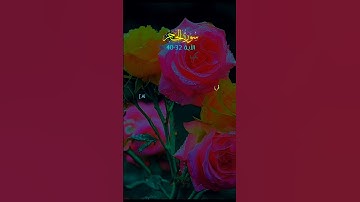 سورة الحجر QURAN #quran_alkarim #biutifullvoice #duet #islamic