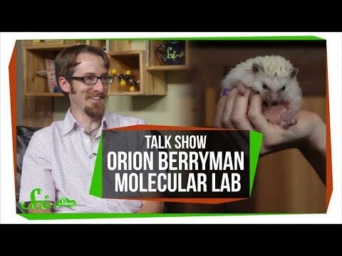 Molecule Architecture: SciShow Talk Show with Dr. Orion Berryman thumbnail