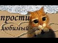 Для Любимого 💗 Прости. Любимому мужчине 💗 Признание . Красивая музыкальная открытка